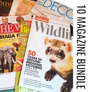 Mystery Magazine Bundle Lot of 10 Magazines RANDOM DATES Reading bundle Collage